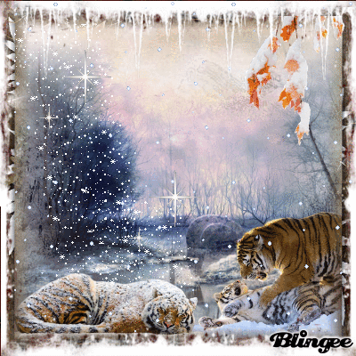 im schnee spielen im schnee spielen