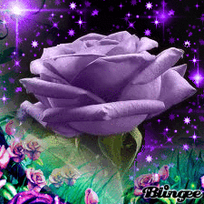 Https Encrypted Tbn0 Gstatic Com Images Q Tbn 3aand9gcrhzpe3ovu Irwk4tftjnbxi Lpxwywwrcxnw Usqp Cau