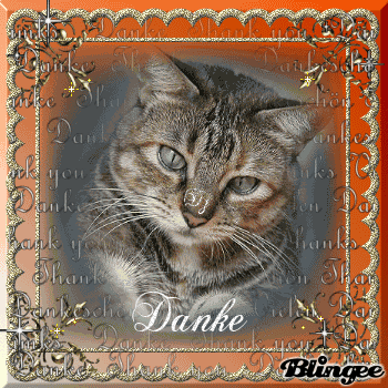 Danke für deine Freundschaft Picture 127793011