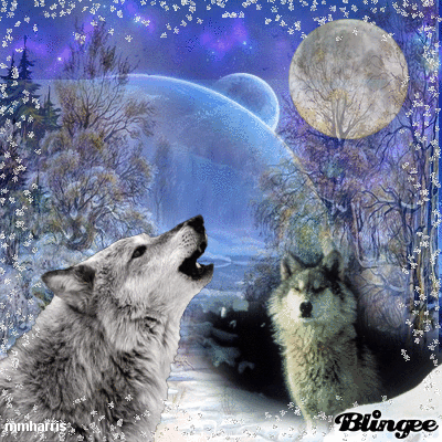 Https Encrypted Tbn0 Gstatic Com Images Q Tbn 3aand9gcss8yofde4ffaiuklcwpmidqdamd Znspakfa Usqp Cau