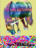 dr"