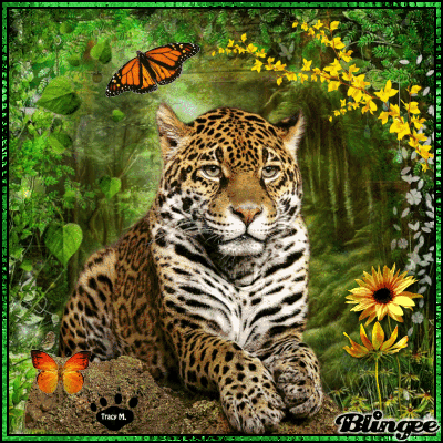 A Beautiful Jaguar In The Jungle Picture #127801132 | Blingee.com
