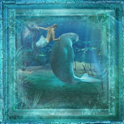 Mermaid And Manatee