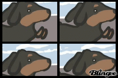 Immagine Il Cane Pufoente O 127823886 Blingee Com