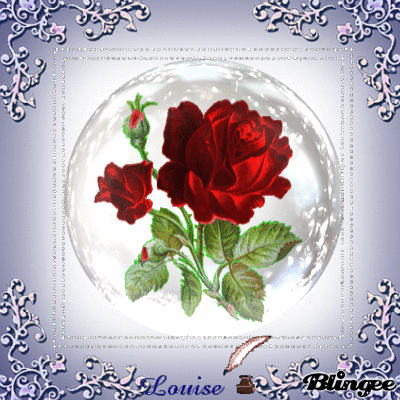 Red roses