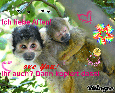 affen love you Picture 127872209