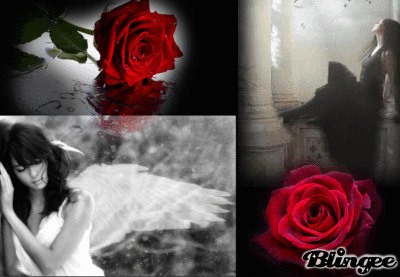 ti amo sempre e per sempre citazioni