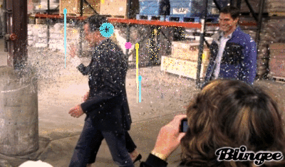 romney glitter bomb picture