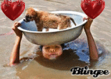 amigo
