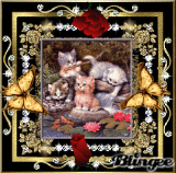 kittens