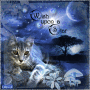 Wish Upon A Star ~ Cat Luv