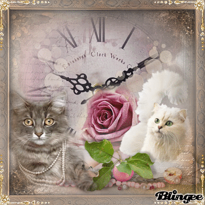 Gatti Romantici Immagini Animate Da Condividere 128157393 Blingee Com