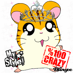 Anime Hamster! Picture #128236876 | Blingee.com