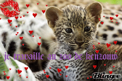 2 eme banniere de ohmydollz