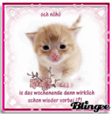 Schon Wieder Montag Picture 128277398 Blingee