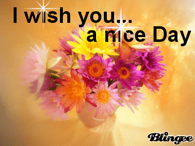 wishing you a nice day 