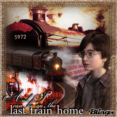Harry Potter on Platform 9 3/4 Picture #128337307 ...
