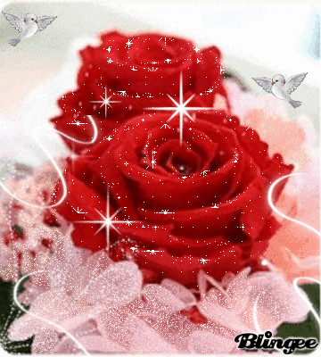 Https Encrypted Tbn0 Gstatic Com Images Q Tbn 3aand9gcqaxttziaq7dbclwjcwozhu3uixcnkhqod9bg Usqp Cau