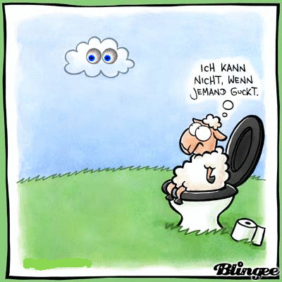 Get Schaf lustig gif For Free