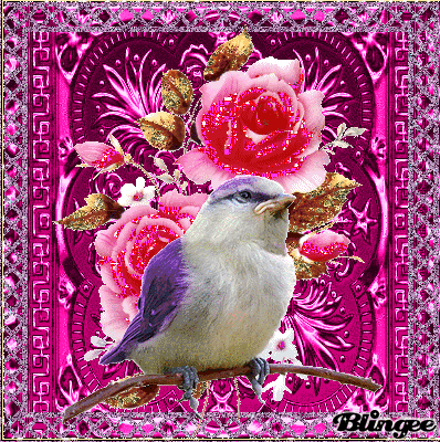 FOR AL MY BLINGEE FRIENDS:)