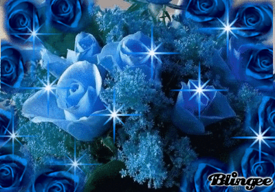 Kék Rózsa Picture 128404476 Blingeecom