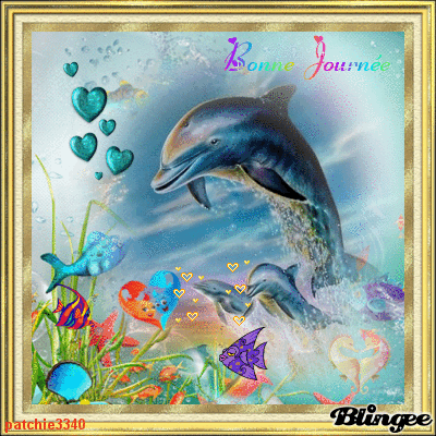 BONNE JOURNEE