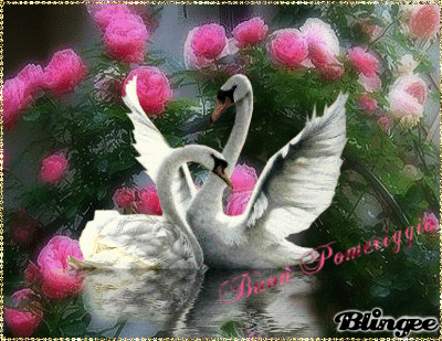 Https Encrypted Tbn0 Gstatic Com Images Q Tbn 3aand9gcrky Dzgaja Ptkvf8wx1j Labimtrcedln0a Usqp Cau
