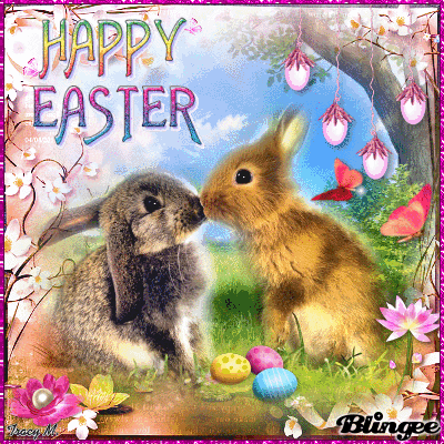 Avi love easter bunny Avi love easter bunny