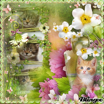 http://image.blingee.com/images19/content/output/000/000/000/7a9/764426865_724227.gif?4