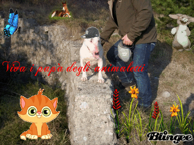 Pap&agrave; degli animaletti