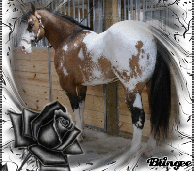 App Picture 128618351 Blingee Com Are there any websites like blingee?? blingee com