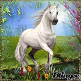 White horse in spring White horse in spring