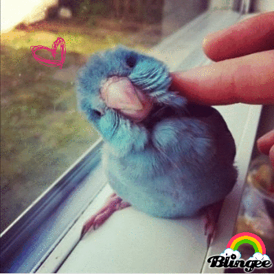 Blue.~