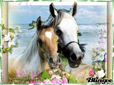 Cavalli Codici E Download Di Immagini Animate 128685099 765621345 Blingee Com