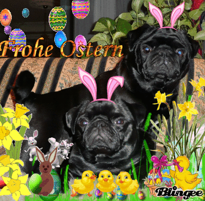 Frohe Frohe