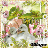 Spring Scrap 3
