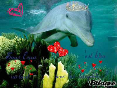 Le dauphin sous l'eau