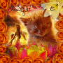 *`*Burning~sunset*`*
