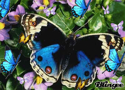 http://image.blingee.com/images19/content/output/000/000/000/7ae/788418619_1752873.gif