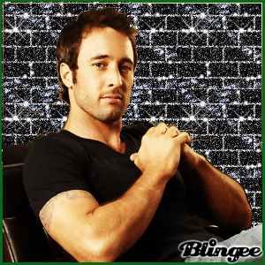 Steve Mcgarrett Picture 128890572