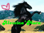 Alessiamora2 Alessiamora2