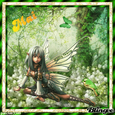 LA FORET DE MAI