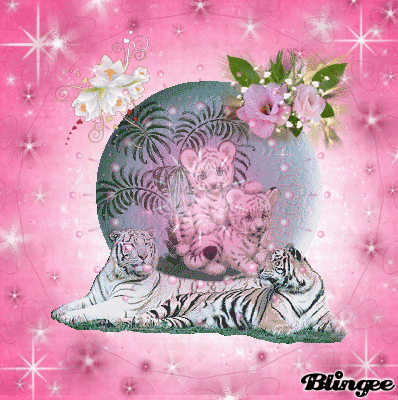 white tiger in pink love white tiger in pink love