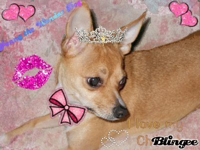 Cartoon Wonder Dog