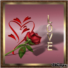 kein Tag ohne Rose