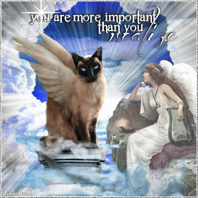 Angels Are Watching Over You Cbs Picture 129113999 Blingee Com Angels around us, angels beside us, angels within us. blingee com