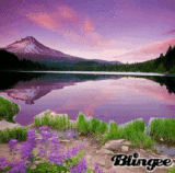Https Encrypted Tbn0 Gstatic Com Images Q Tbn 3aand9gcrihhpzdcoyz2npzmvglpfpnk6 O31nmtjppg Usqp Cau
