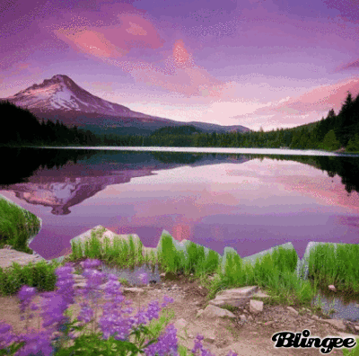 Prati Fioriti Codici E Download Di Immagini Animate 129235305 770994826 Blingee Com