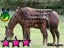 3^ stella in salto