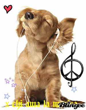 Amo La Musica Picture 129262270 Blingee Com